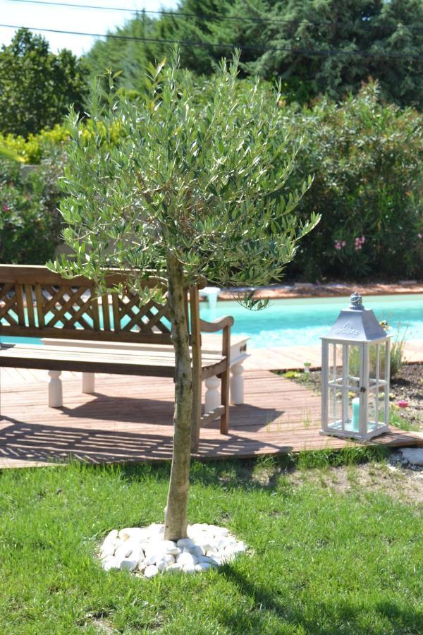 B & B "Les Charmettes" Vedène Екстериор снимка