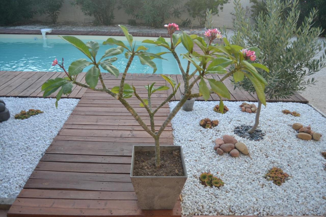 B & B "Les Charmettes" Vedène Екстериор снимка